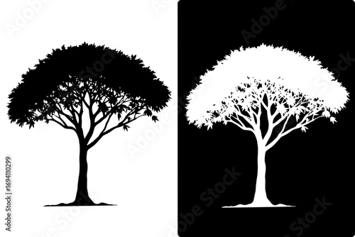 Vector illustration, tree silhouette, with negative image
