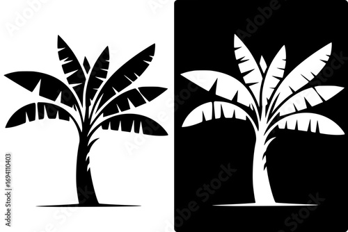 Banana tree vector, with negative image, HD image