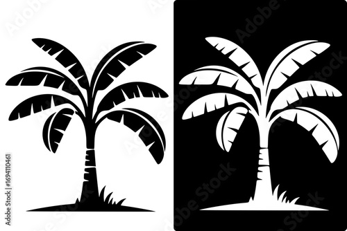 Vector illustration, banana tree silhouette, with negative image, HD image