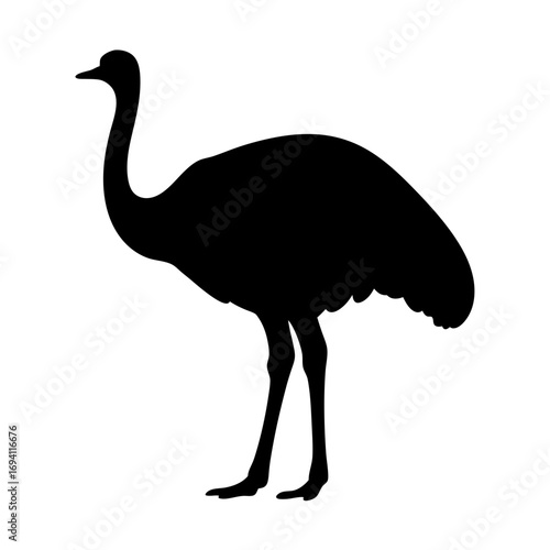 Isolated black silhouette of an ostrich vector illustration running bird wildlife animal africa emu dromaius