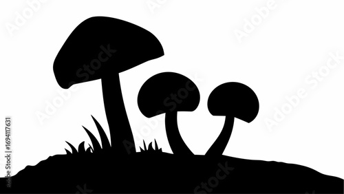 Silhouette of three mushrooms of varying sizes growing on a patch of grass in a black and white image