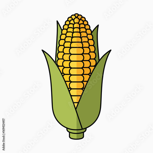 Fresh Ripe Corn on the Cob with Green Husk and Yellow Kernels Illustration