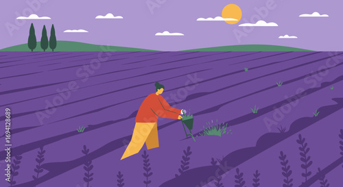 Person harvesting fragrant lavender in a vast purple field under a serene sky. Captures traditional agriculture, nature's beauty, and peaceful rural lifestyle.