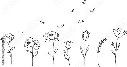 Minimalist line art of romantic floral arrangement for aesthetic decor and design