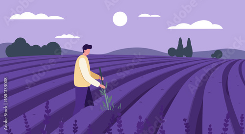 Man tending a vibrant lavender field under a soft sky. Depicts agriculture, nature's beauty, and rural peacefulness. Ideal for travel, lifestyle, or botanical themes.