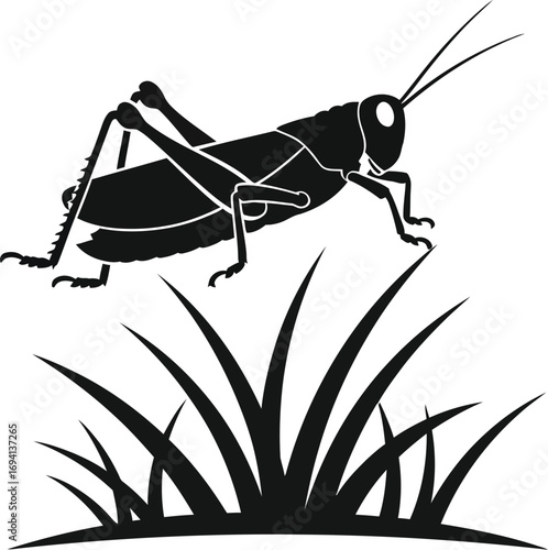 Silhouette of a grasshopper grass, a simple yet striking image of nature and insect life in black and