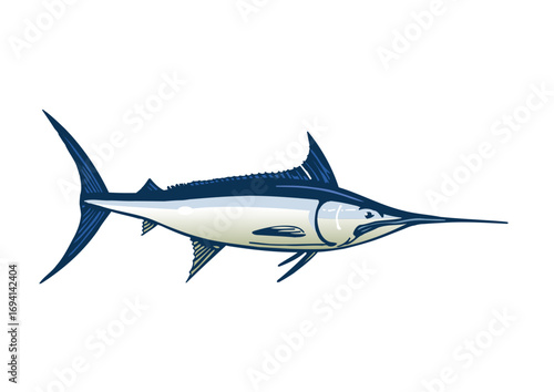 swordfish swims