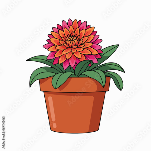 Vibrant Dahlia Flower Blooming in a Terracotta Pot with Green Leaves