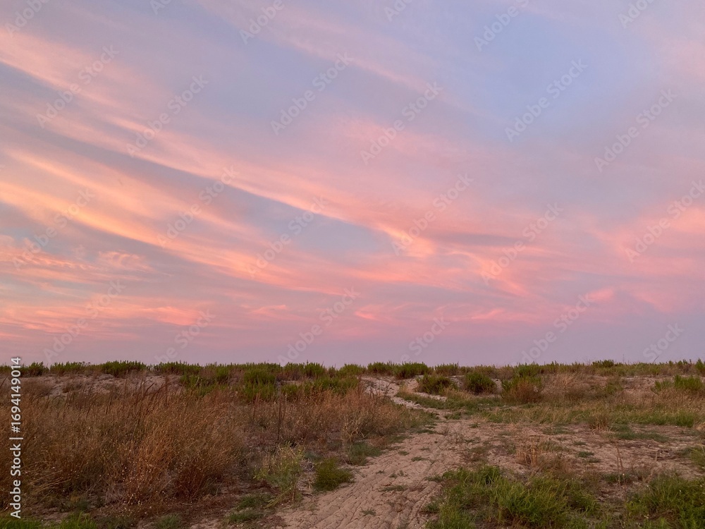 Obraz premium Beautiful pink sunset painting the sky over the wild vegetation of the Abruzzo coast in Pineto, Italy, creating a magical atmosphere