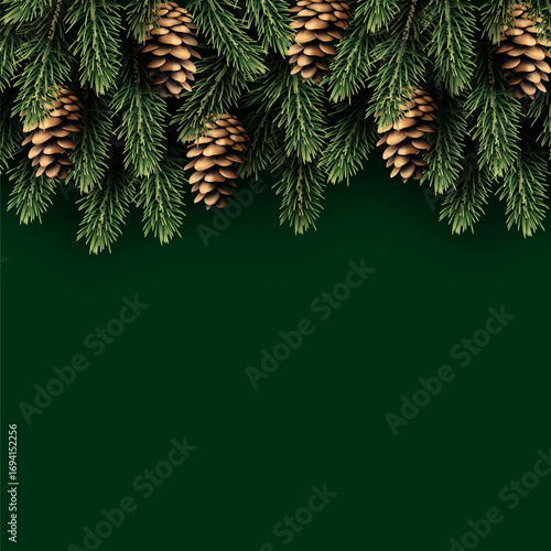 Christmas and New Year background with fir trees and cones.