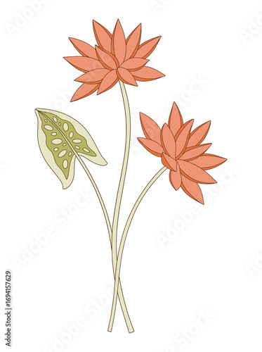 Bright bouquet of two nymphaea flowers with leaf. Bunch of blooming water wild plants. Botanical hand-drawn elements for design projects. Vector illustration