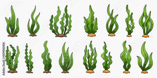 A diverse collection of cartoon green seaweed and algae illustrations, isolated on a transparent background.