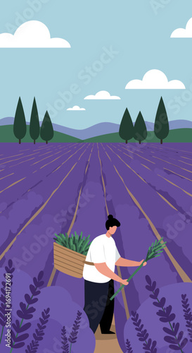 Person harvesting fragrant lavender in a picturesque field, showcasing agricultural work and natural beauty. Ideal for themes of nature, travel, or traditional farming.