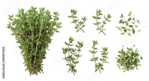 Tableau sur toile Isolated Thyme Herb Assortment