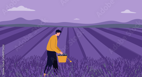 Man collecting fragrant lavender in a vast field, symbolizing farming, natural beauty, and sustainable agriculture. Ideal for aromatherapy and organic concepts.