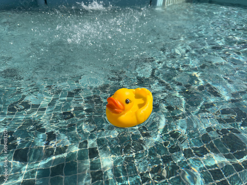 Yellow rubber ducky in a sw...