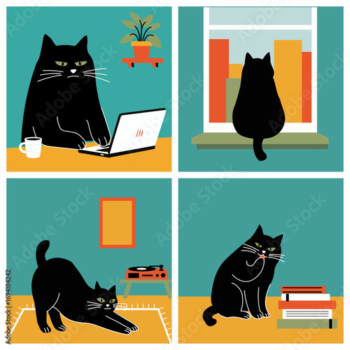 Busy day in life of a chonky fit hardworking black cat. Work, doze off, stretch, bath and repeat