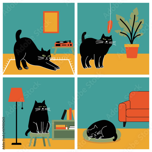 Busy day in life of a chonky fit hardworking black cat. Stretch, stare, sit, sleep and repeat