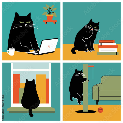 Busy day in life of a chonky fit hardworking black cat. Work, bath, doze off, dance, and repeat