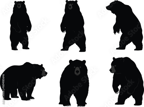 Bear silhouette collection in different poses, standing and walking black bear illustration, wild animal profile, isolated on white background.
