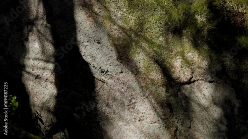 Close-Up of Mossy Stone with Sunlight Shadows