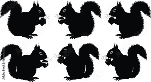 Squirrel silhouette vector illustration, cute animal design, holding nuts, perfect for wildlife artwork, forest theme, cartoon style, nature decoration.
