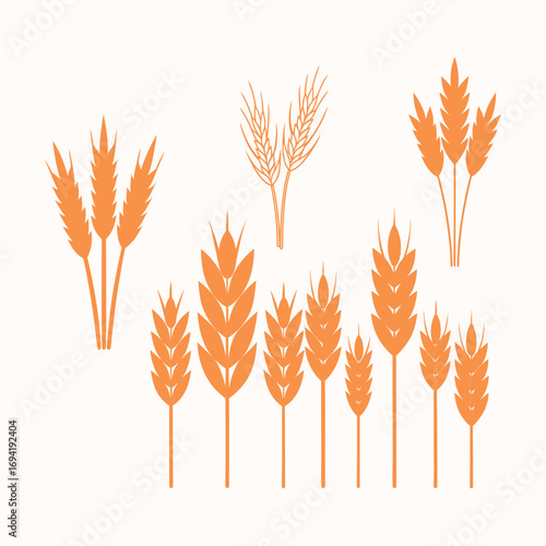 Wheat Stalk Sets Illustration for Harvest and Rustic Design