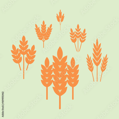Wheat Stalk Sets Illustration for Harvest and Rustic Design