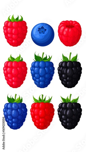 Colorful illustration of various berries