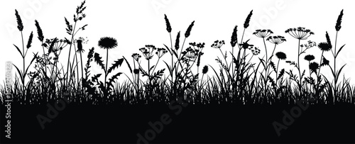 Wild grass and flowers silhouette, natural meadow plants, summer weeds illustration, botanical vector design, outdoor nature landscape, floral background