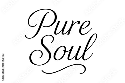 Pure Soul thin line calligraphy smooth curves balanced composition clear readable letters consistent style none none clean white background vector look high contrast no extra objects no.