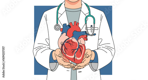 Doctor holding human heart in hands wearing stethoscope and white coat for medical healthcare concept emphasizing cardiology and internal medicine