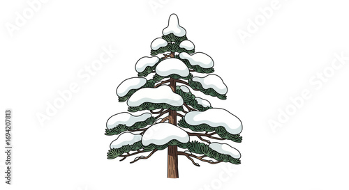 Illustration of a snow-covered evergreen tree with a brown trunk and green needles in winter season