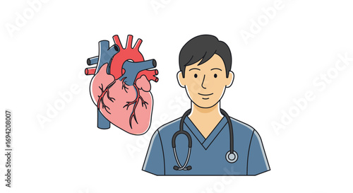 Medical professional with stethoscope and human heart illustration, offering healthcare and cardiology expertise for well being