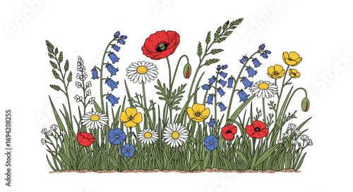 Vibrant wildflower meadow illustration with poppies, daisies, and bluebells in full bloom, creating a colorful spring scene