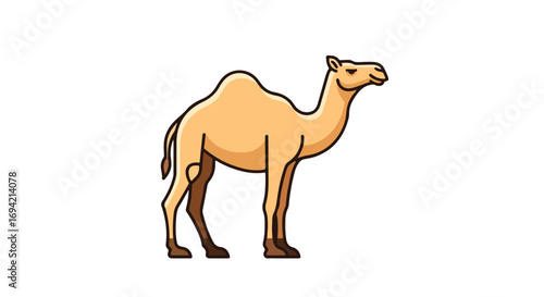 Cartoon style illustration of a dromedary camel standing against a clean, white background with precise and defined outlines