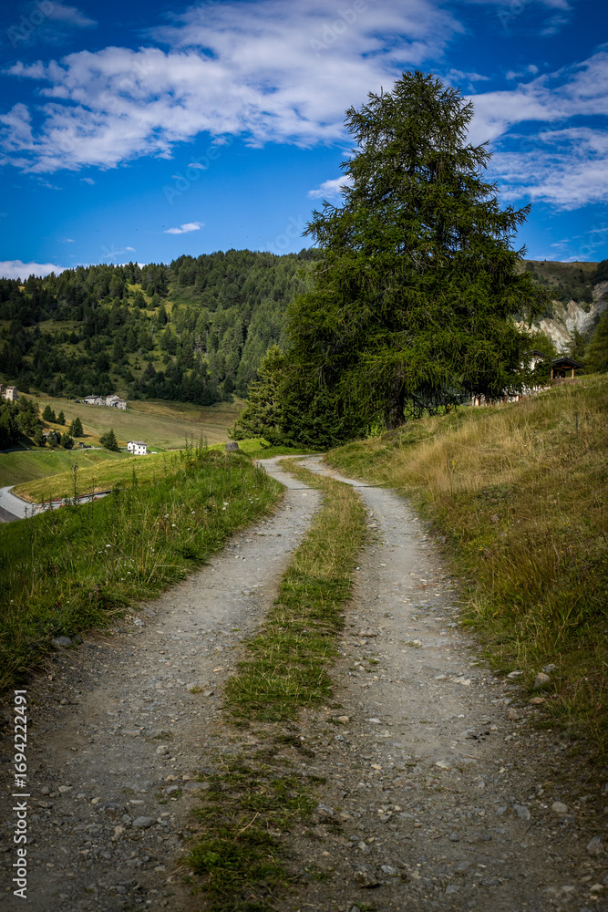 Fototapeta premium paesaggio estivo in montagna