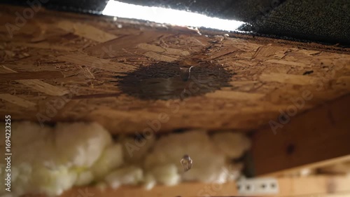 Leaking Roof Causing Water Damage Inside Attic, Water Leak in Ceiling of House Causing Interior Damage