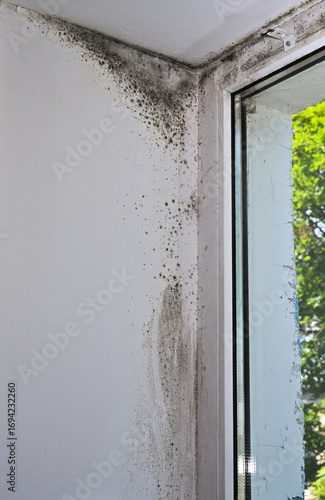 Mold on the plastic window.