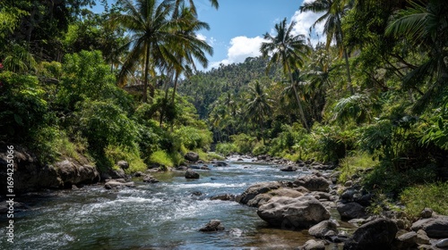 Tropical rainforest river scene