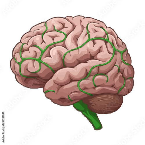 Brain Connections with Green Ribbons – Awareness Symbol Vector