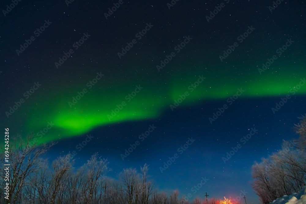 Fototapeta premium Northern Lights or Aurora Borealis on a winter night. Vibrant colors shimmer in the starry sky.