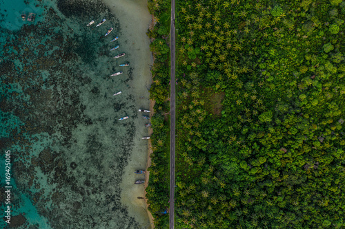 Aerial view of coastal road and lush greenery