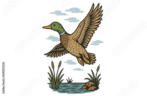 Flying Duck Illustration. Vintage Mallard Bird Artwork. Retro Wildlife and Nature Graphic. Hunting Club Poster.