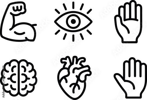 Representations of Vital Body Parts and Bodily Functions an Arm Muscle Brain Heart an Eye a Hand for Human Anatomy