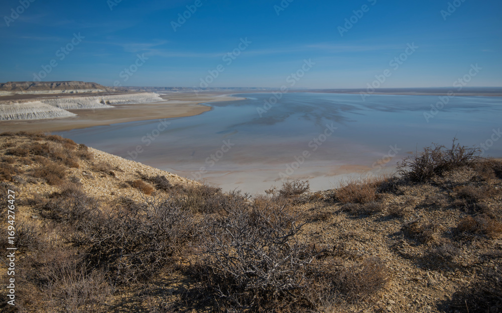 custom made wallpaper toronto digitalA vast salt plain with white cliffs and reflective water under a clear blue sky, surrounded by barren desert terrain. Located in Mangystau, Kazakhstan.