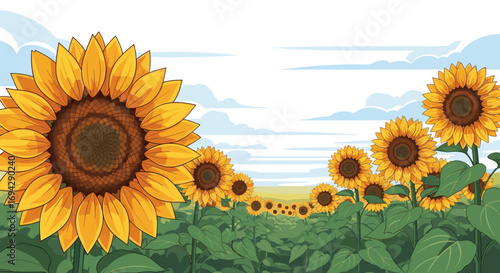 Illustration of a sunflower field under a cloudy sky view art