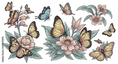 Watercolor butterflies and flowers arrangement illustration