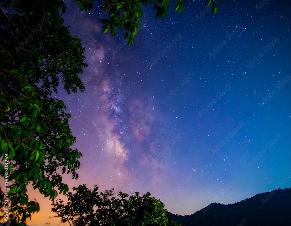 Fototapeta premium Milky Way over trees and mountains