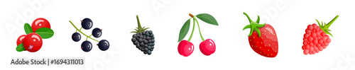Collection of fresh wild berries. Healthy organic food. Natural dessert and vitamins concept. Summer fruit set.